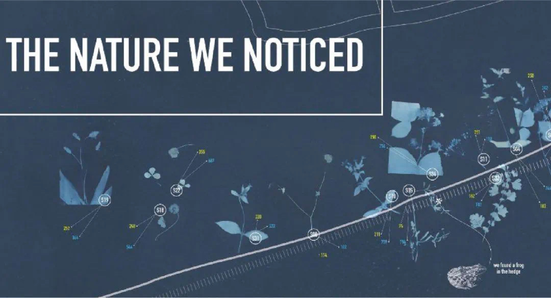 Design nature and the pluriverse ecology and cultures innovation lab